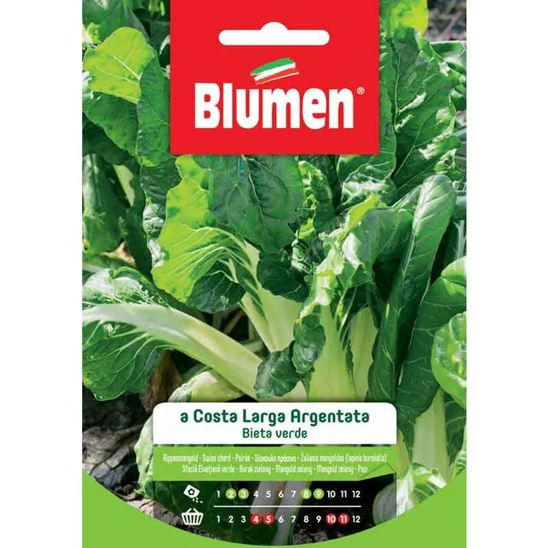 Blumen - Semi di Bieta Verde a Costa Larga Argentata