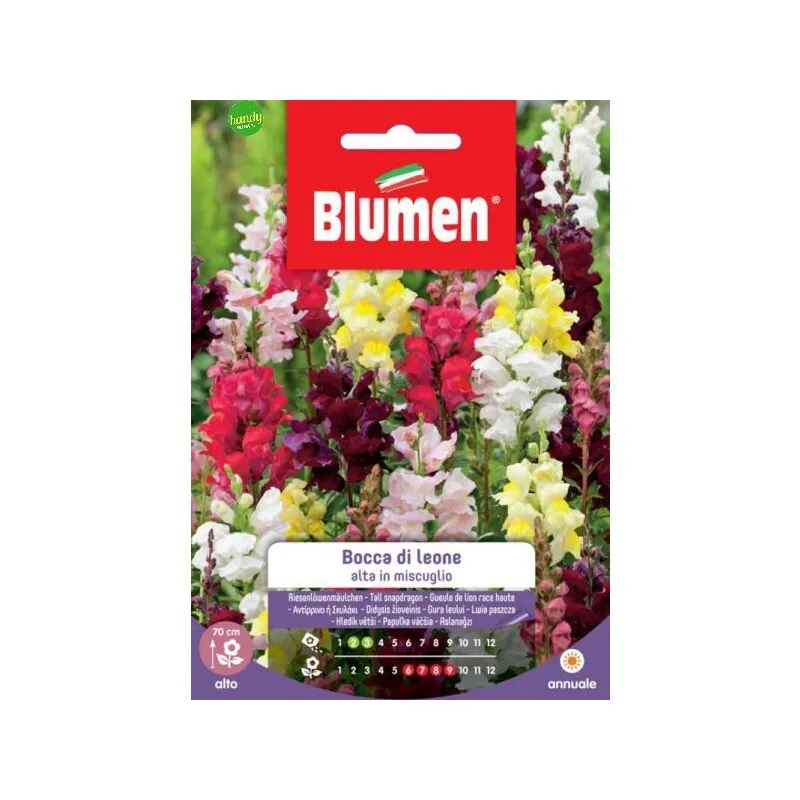 Blumen - Semi bocca leone alta