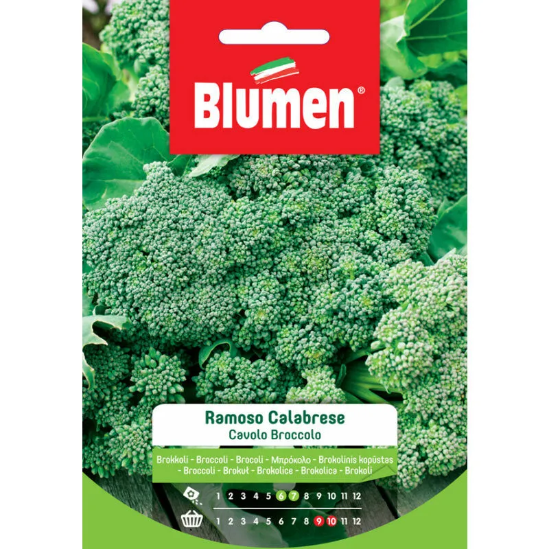 Semi di Cavolo Broccolo Ramoso Calabrese - Blumen