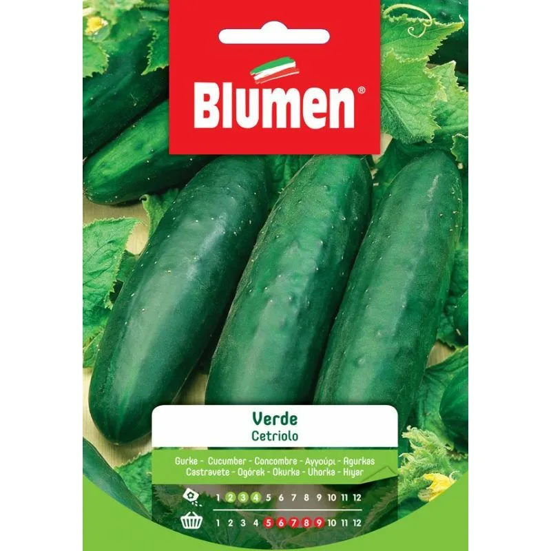 Semi Cetriolo Verde Blumen