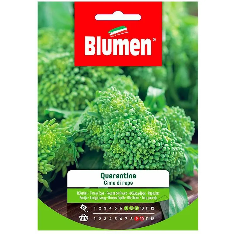 Blumen. Semi di Cima di rapa quarantina