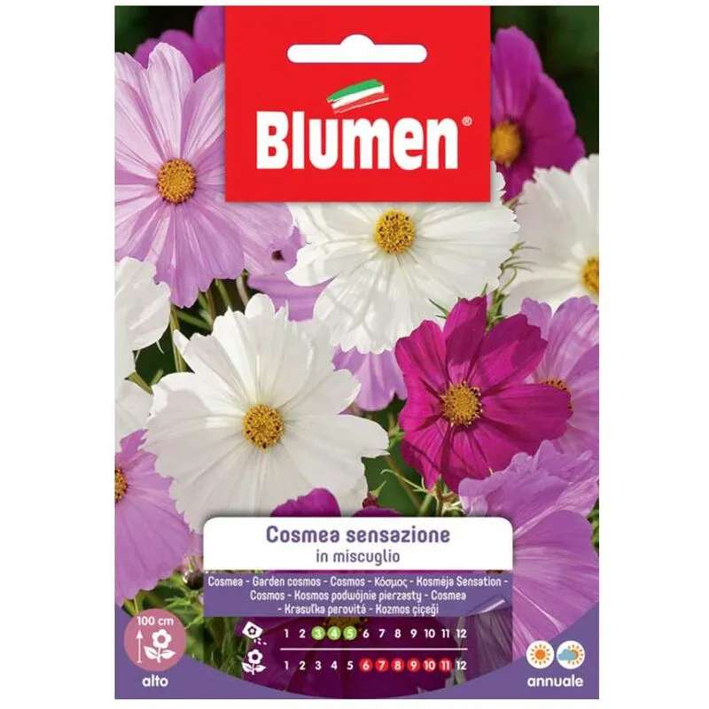 Blumen - Semi di Cosmea Sensazione