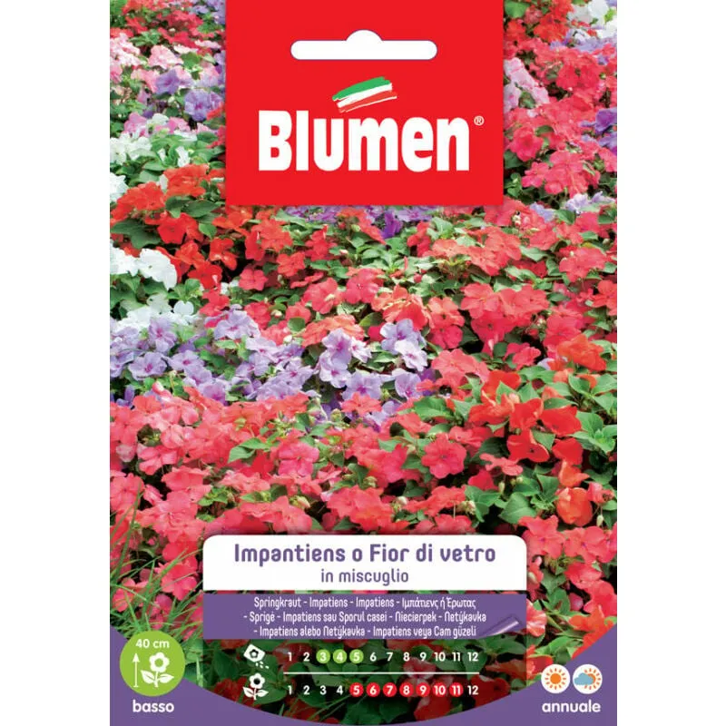 Semi di Impatiens o Fior di vetro - Blumen