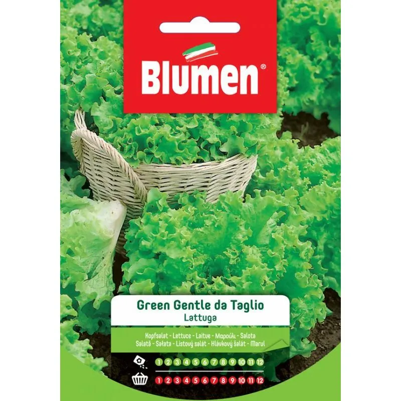 Blumen - Semi di Lattuga Green Gentle Bionda da taglio