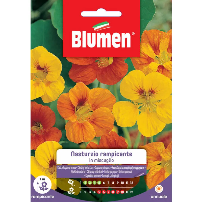 Blumen - Semi di Nasturzio Rampicante