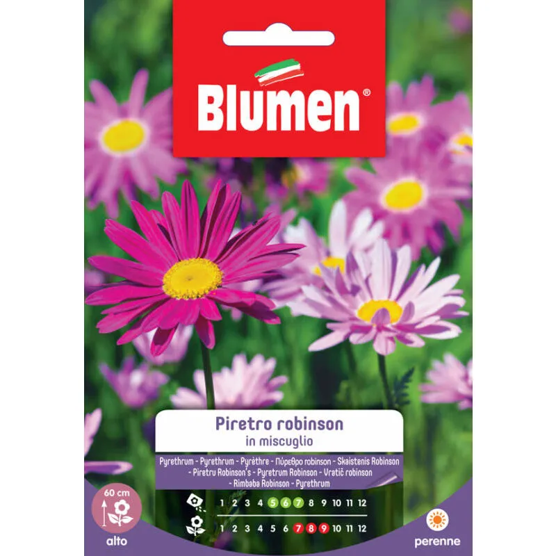 Blumen - Semi di Piretro Robinson