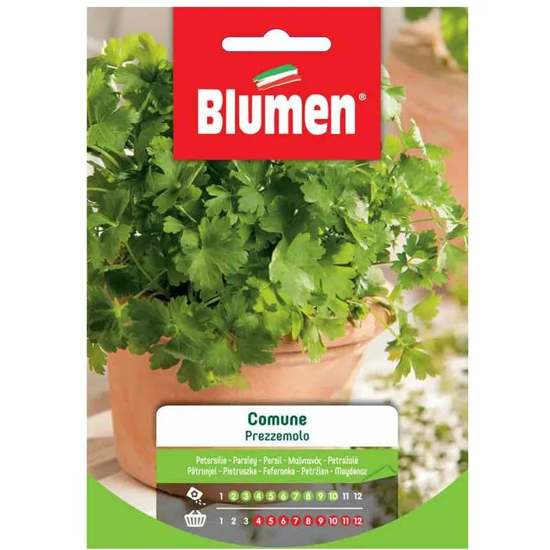 Blumen - semi prezzemolo comune