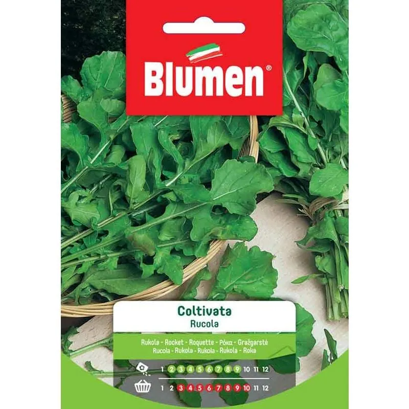 Mm_unverified_brand - Blumen. Semi di Rucola Coltivata