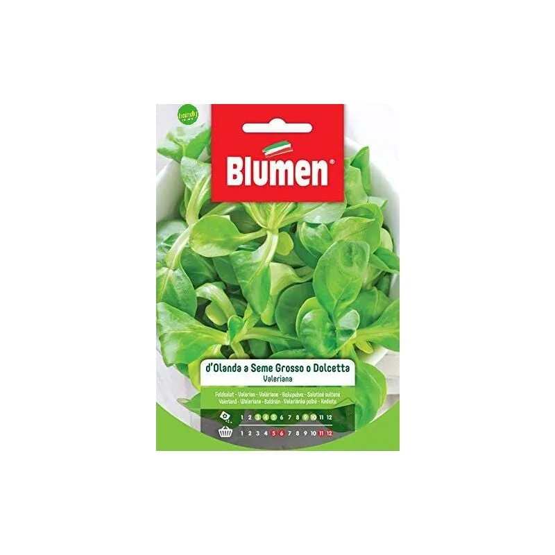 Blumen - Semi valeriana