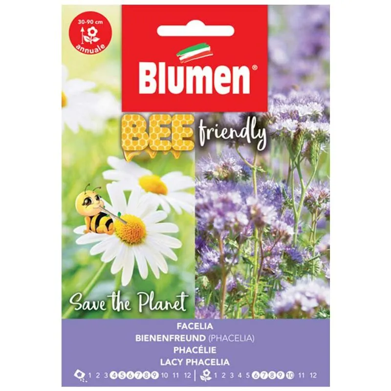 Blumen - semi phacelia tanacetif.