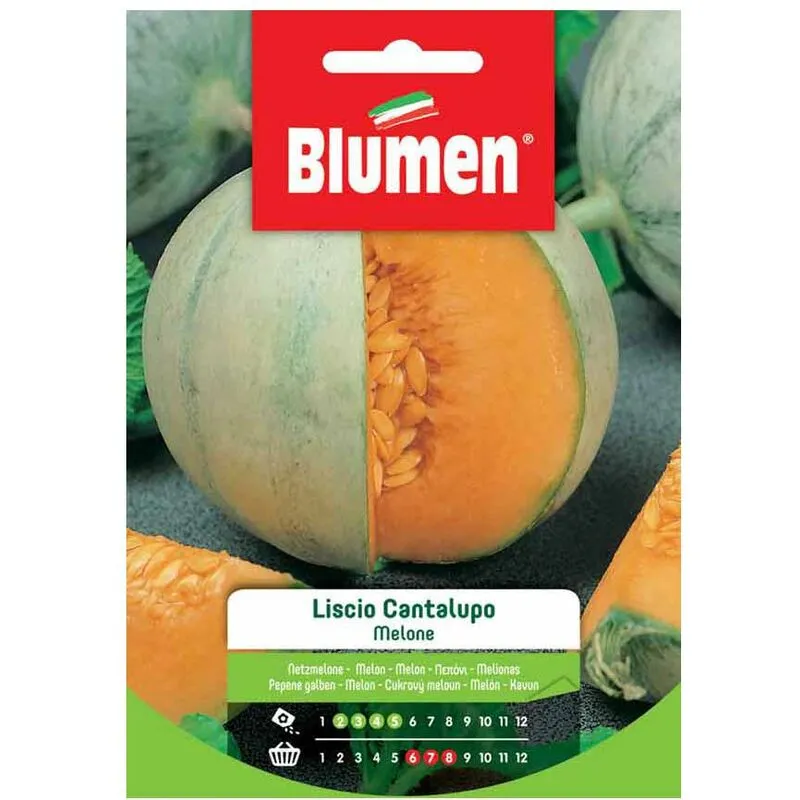 Blumen - semi melone liscio cantalupo