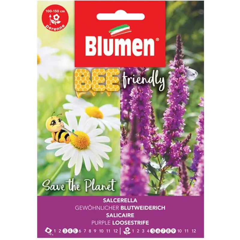 Blumen - semi salcerella sementi fiori