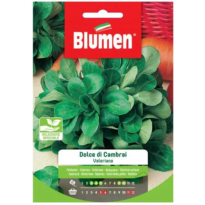 Blumen - semi valeriana dolce cambray