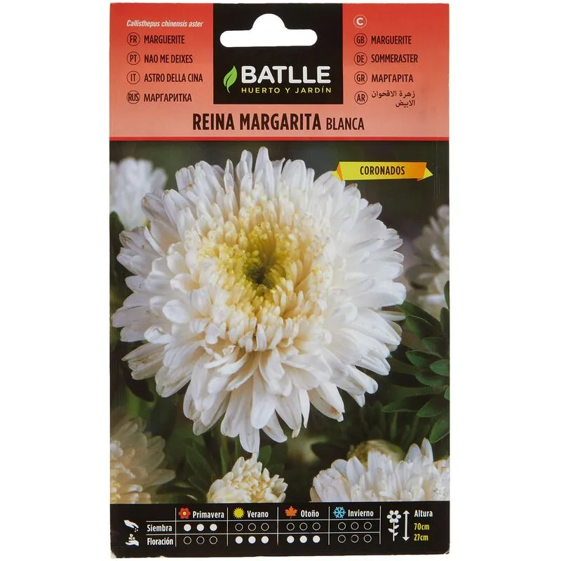 Regina Marg. Margaret Bianco - Semillas Batlle