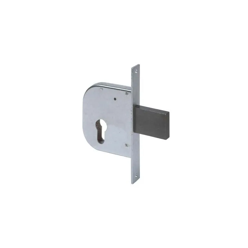 Cisa - serratura cancello infilare 42022 b.q zinc f.mm 22 f.sagom M2+SCR e.mm 50