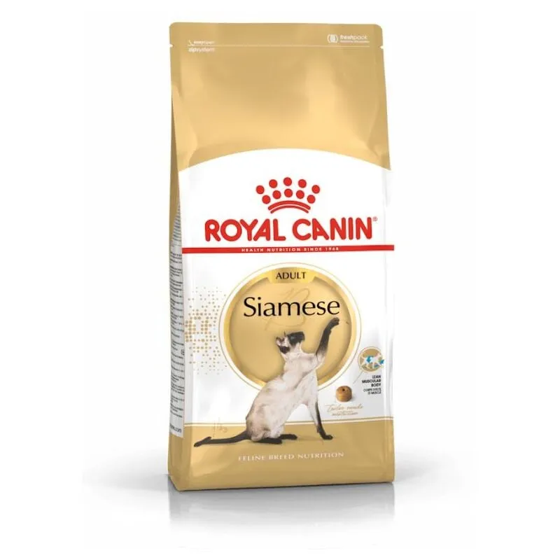  - Gatto Siamese 2Kg