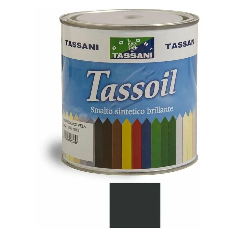 Tassoil Smalto Sintetico Brillante 750 ml Grigio Macchina