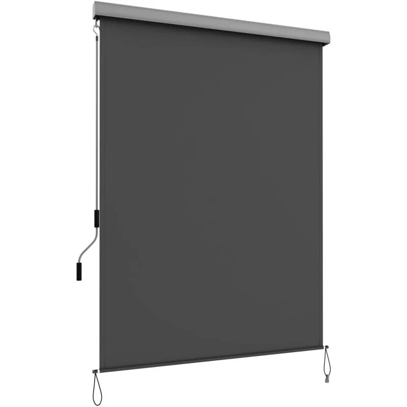 Songmics - Tenda da Sole Verticale, Estensibile, 2.5 x 1.4 m, l x p, Tenda da Sole Verticale per Terrazza e Balcone con Cassonetto, Protezione dal