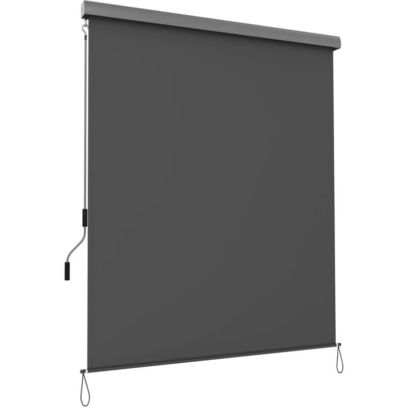 Songmics - Tenda da Sole Verticale, Estensibile, 2.5 x 1.6 m, l x p, Tenda da Sole Verticale per Terrazza e Balcone con Cassonetto, Protezione dal