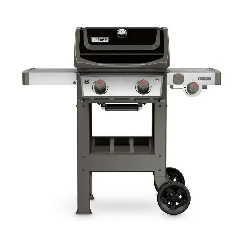  - Barbecue a gas Spirit ii E-220 gbs