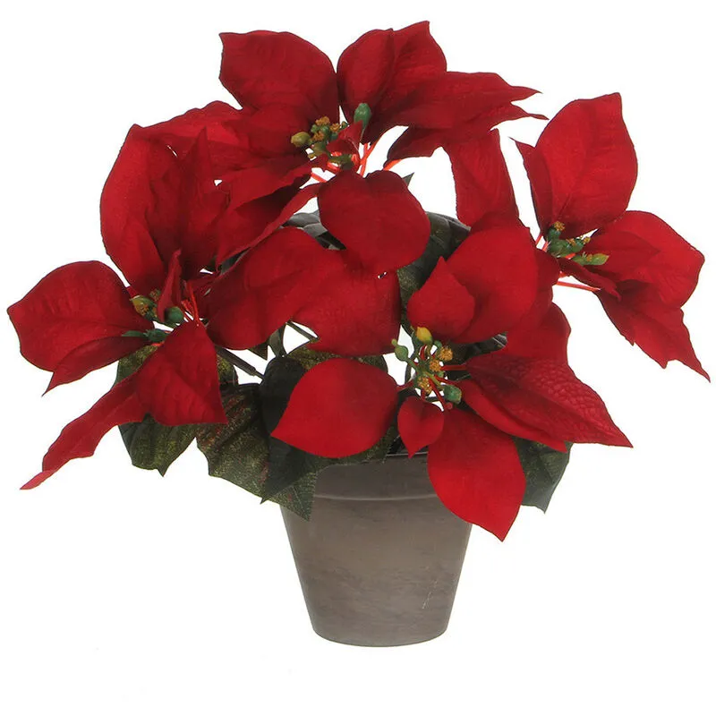  - Poinsettia rosso con vaso grigio 27x35cm