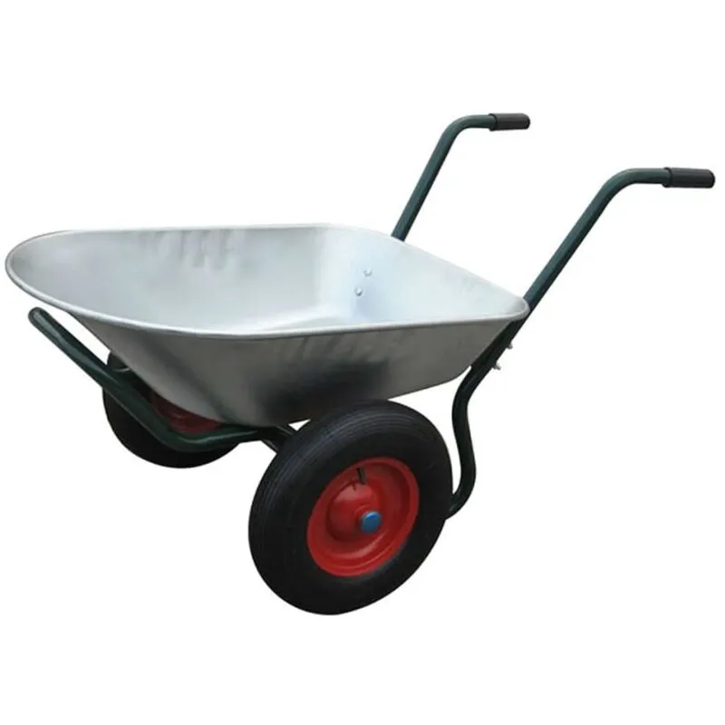 Carriola da Giardino con 2 Ruote 66 l - Vidaxl