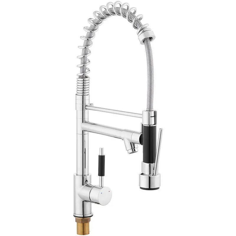 Swiss Aqua Technologies - Miscelatore lavello con braccio girevole, 2 getti, cromato (BSD284)