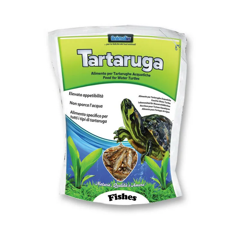 Tartaruga Doy Fishes - Animalin