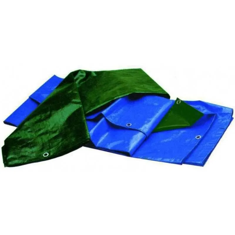  - Telone Antistrappo Pesanti Bicolor Blu/Verde 15X20 m