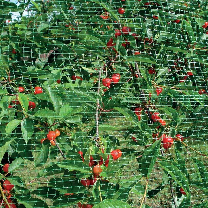 Tenax - rete antiuccelli ortoflex verde 5X8M per il giardino