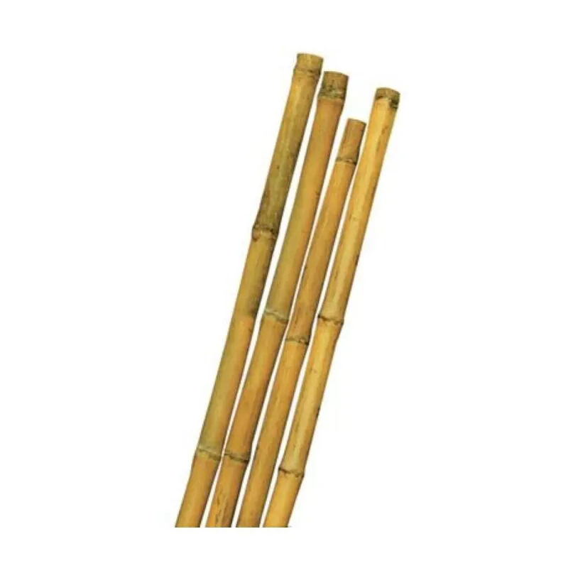 Tutore canna bamboo mm max 22 h.cm 150 - Strs