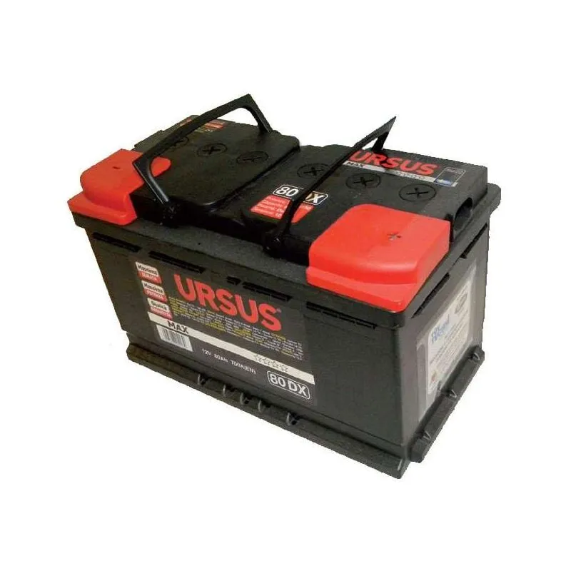 Batteria Auto Ursus 80 Ah Dx