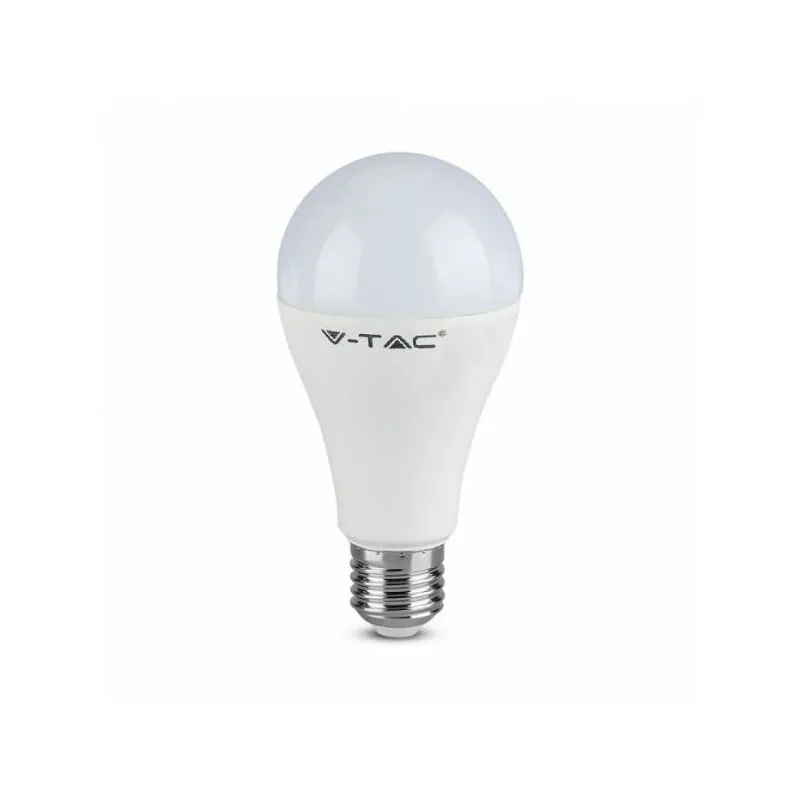 Lampadina led E27 15W A65 160LM/W 6400K