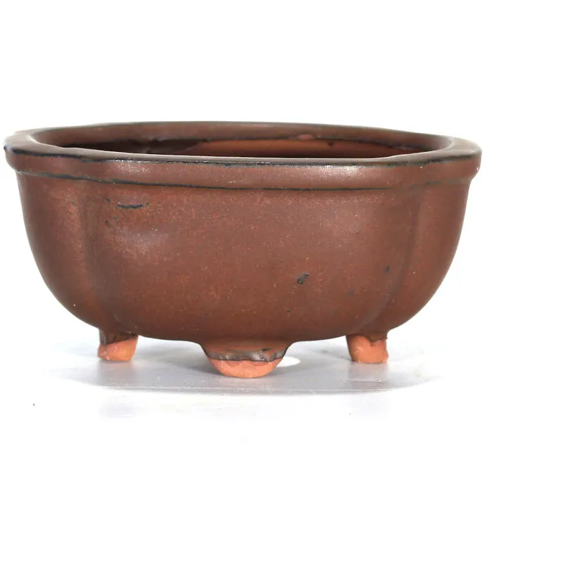 Pollice Verde - Vaso bonsai a nuvola 12 cm smaltato bronzo