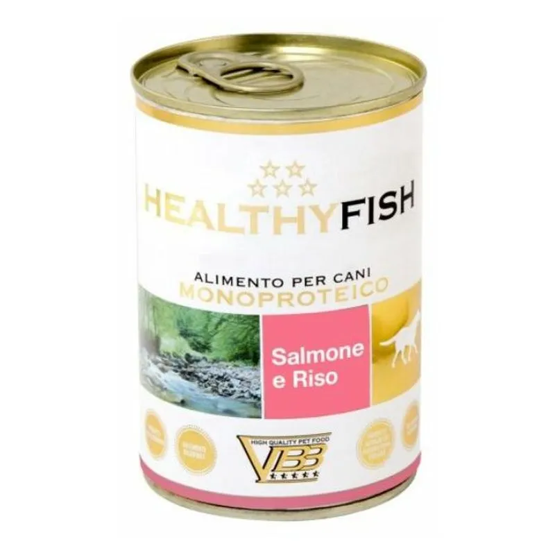 Healthy Meat - Cane Patè Monoproteico 400gr Salmone e Riso