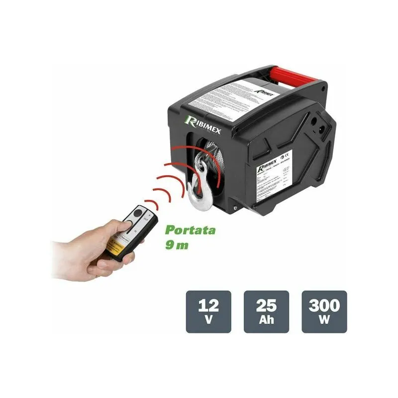 Taniashop - verricello elettrico per auto 12V 500 kg 9 metri con telecomando ribitech