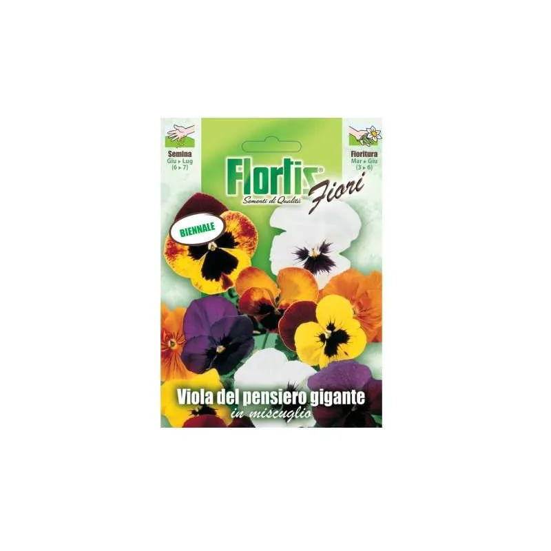 Flortis - Viola Del Pensiero