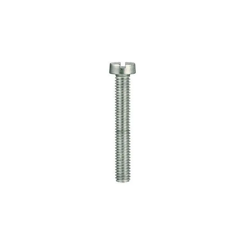 Viti per metallo testa cilindrica inox A2 - 6 x 70 - 2 pz.