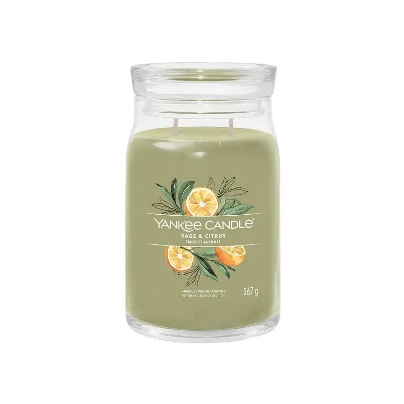 Signature Candela in Giara Grande Sage & Citrus 90 Ore - 