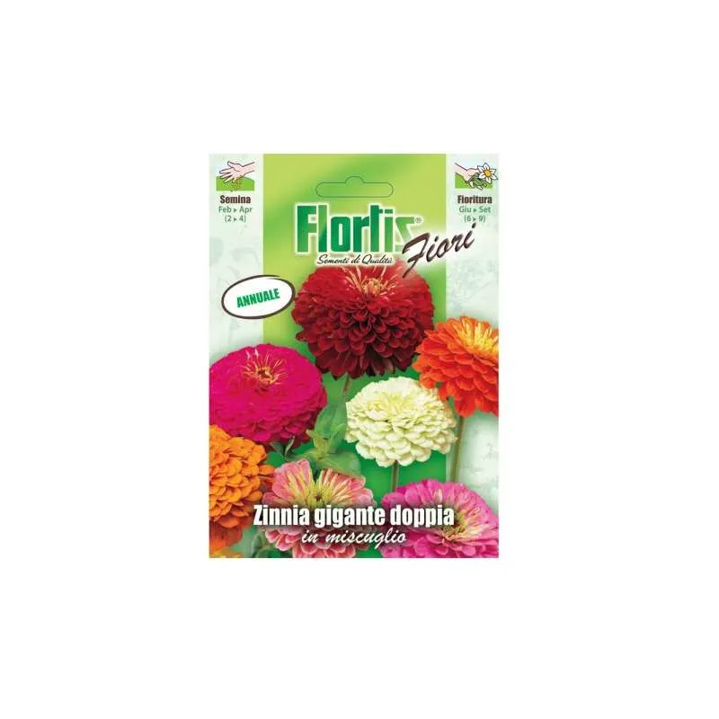 Flortis - Zinnia Gigante Doppia Mix