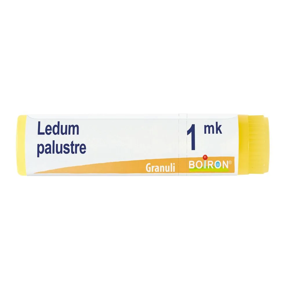 BOIRON® Ledum Palustre Mk Globuli