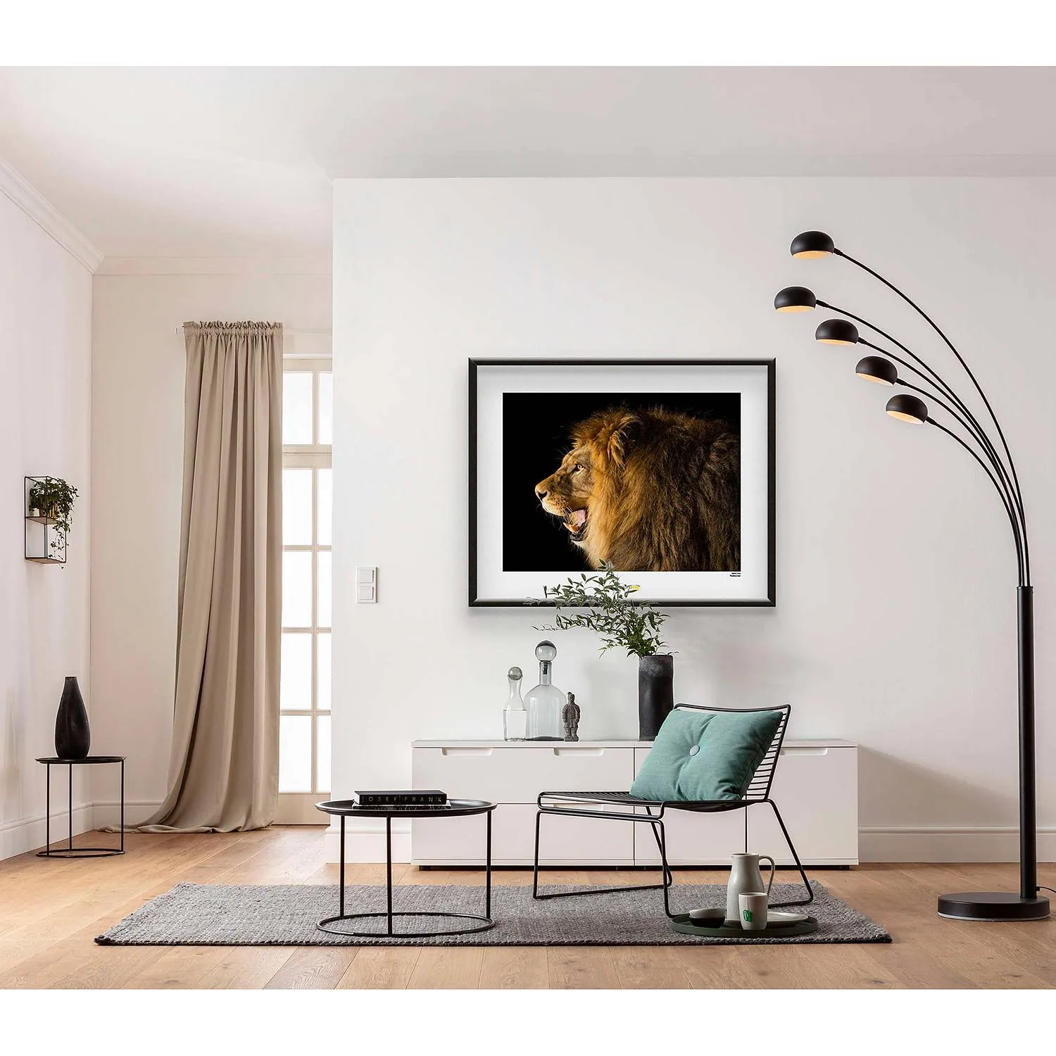 Poster Barbary Lion, 
