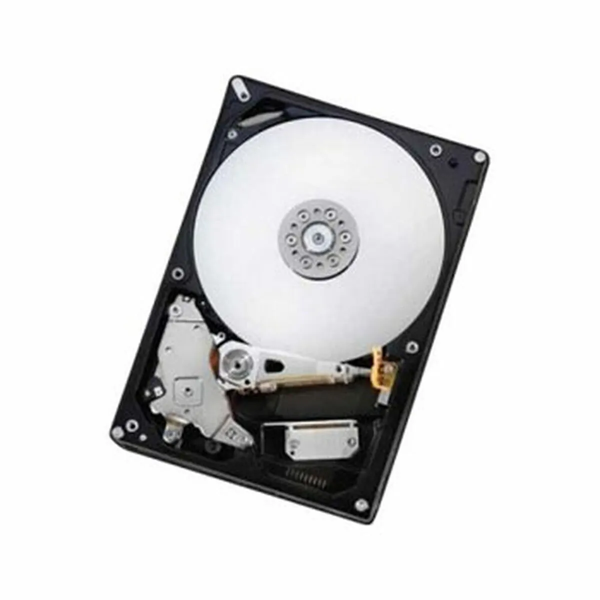 Hard Disk Western Digital 0S03941 6TB 7200 rpm 3,5"