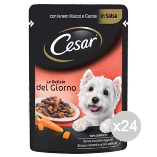 "Set 24 CESAR Cane Busta Manzo-Carote 100 Gr Alimento Per Cani"