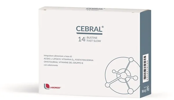 Cebral 14bust