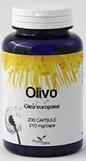 OLIVO 60CPS