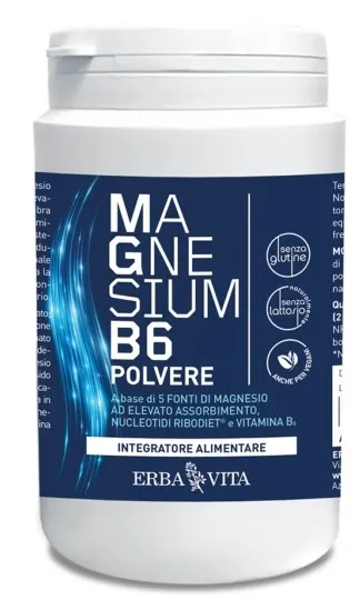 MAGNESIUM B6 Polv.200g EBV