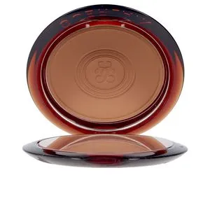 TERRACOTTA MATTE poudre bronzante #medium