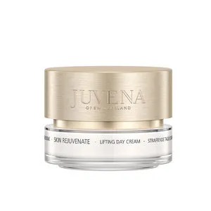 SKIN REJUVENATE LIFTING day cream normal to dry skin 50 ml