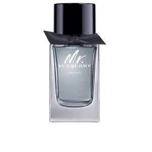 MR BURBERRY INDIGO eau de toilette vaporizzatore 100 ml